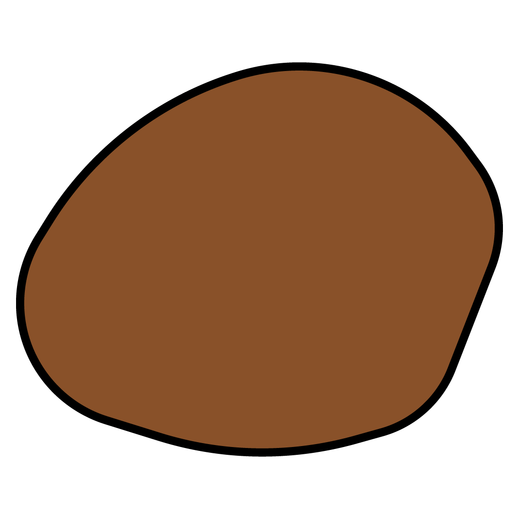 Transitional Tinted High Index (1.60)