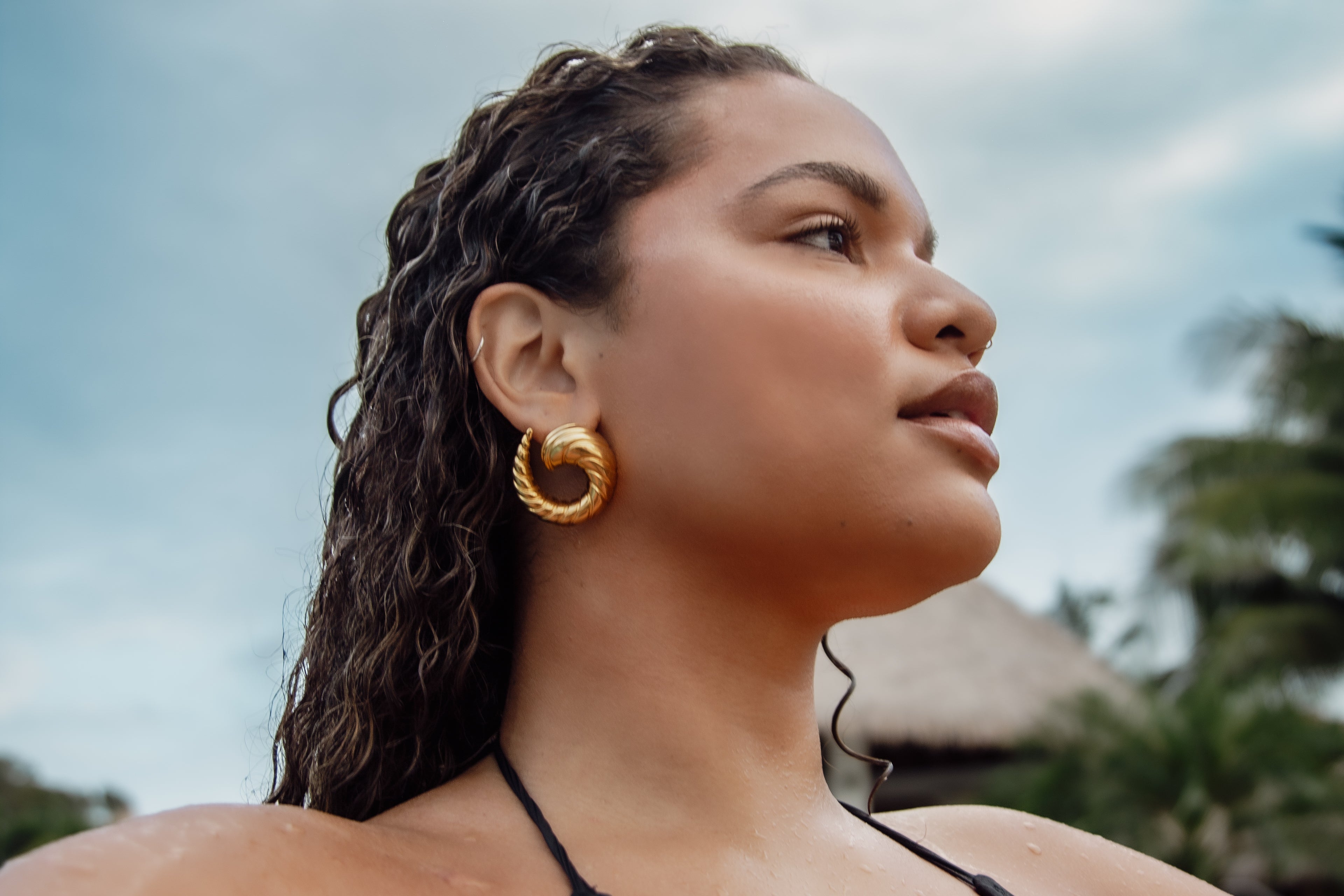 Large Seaswept Swirl Shell Earrings