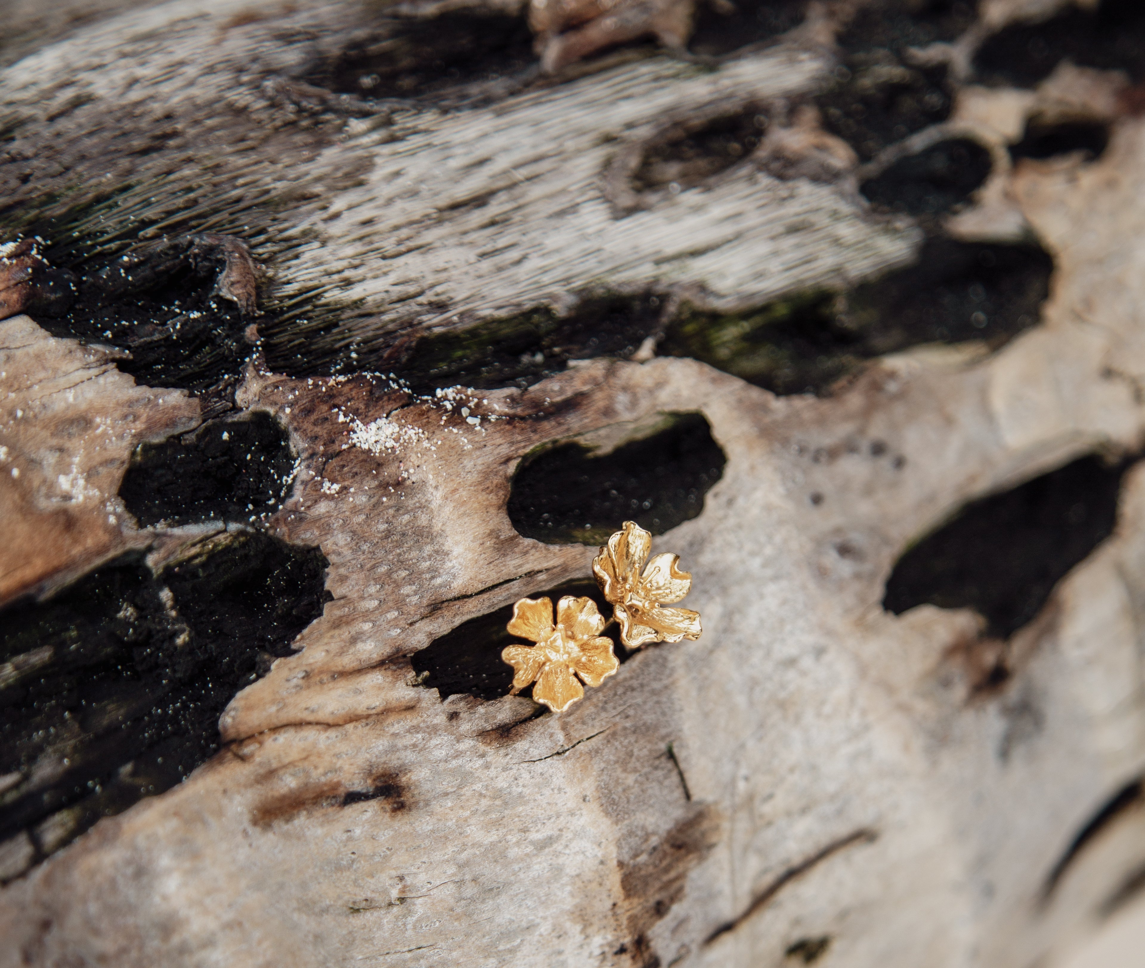 Pre-Order Pride of Barbados Ring
