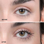 Big Beautiful Eyes Bundle