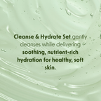 Aloe Vera Cleanse & Hydrate 2pc Set-Face Wash & Spot Cream