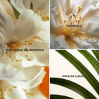 Hydrating Body Gloss ORANGE BLOSSOM