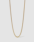 MAEVE CHAIN - GOLD