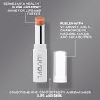 Lip and Cheek Tinted Balm