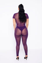 Purple Zoey Sheer Pants