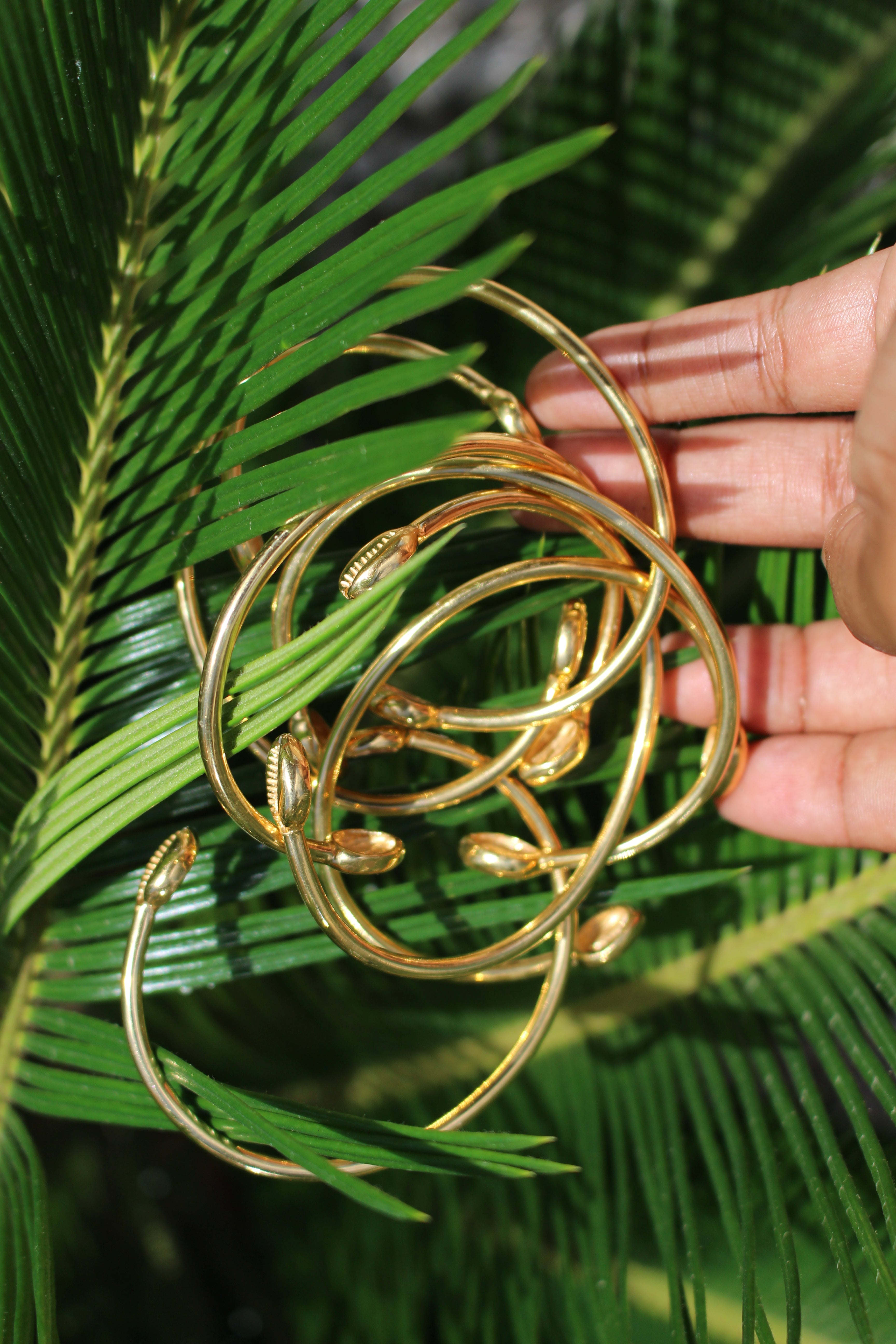 Cowrie Bangle 14k Gold