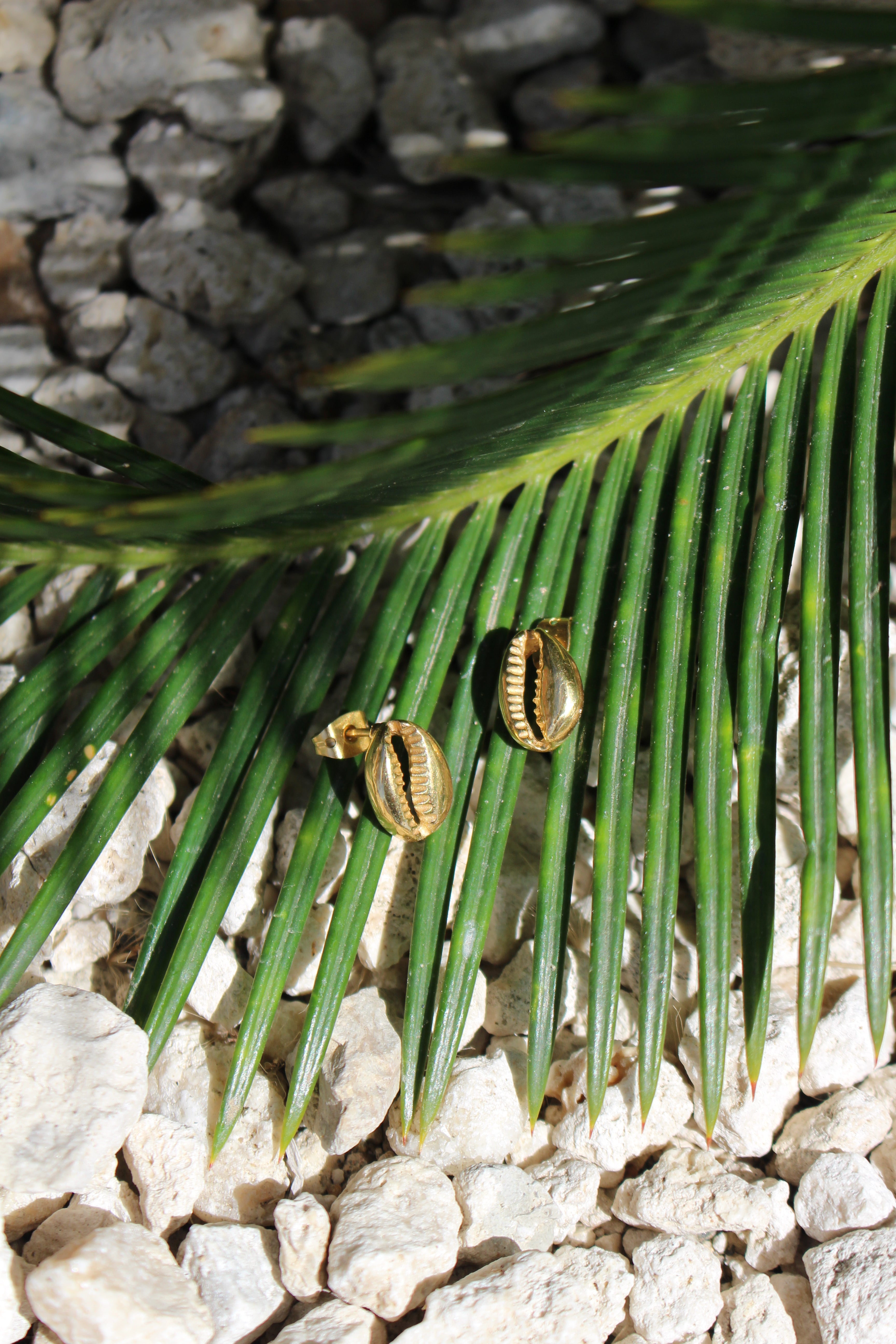Cowrie Earrings Sterling Silver
