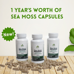 1 YEAR'S WORTH OF SEA MOSS CAPSULES