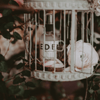 EDEN- CHAMBRÉ SPRITZ
