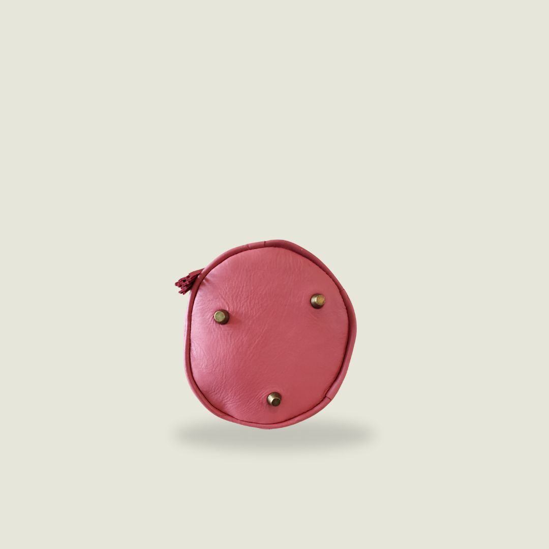 Kadiki Bag - Salmon Pink Leather