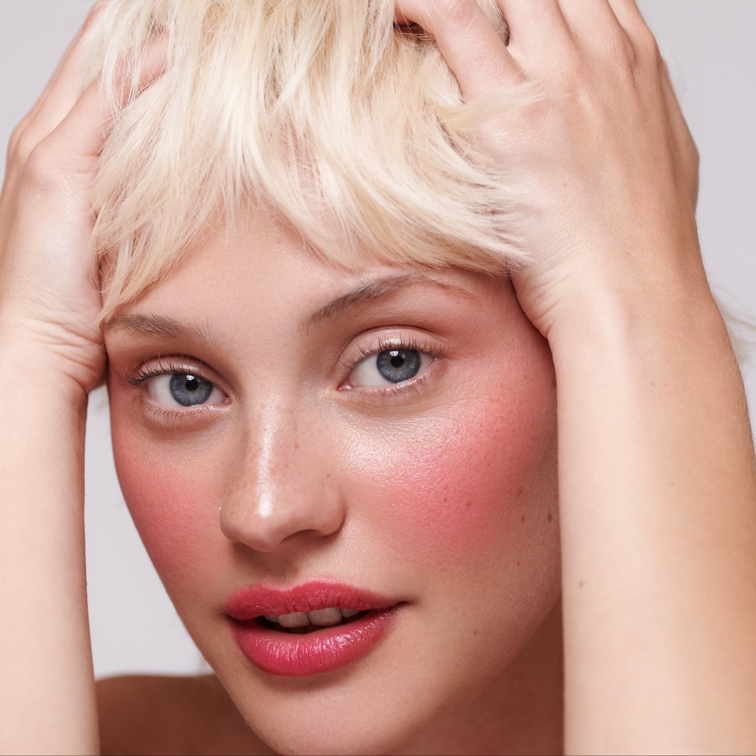 THE ULTIMATE in Exhibit A