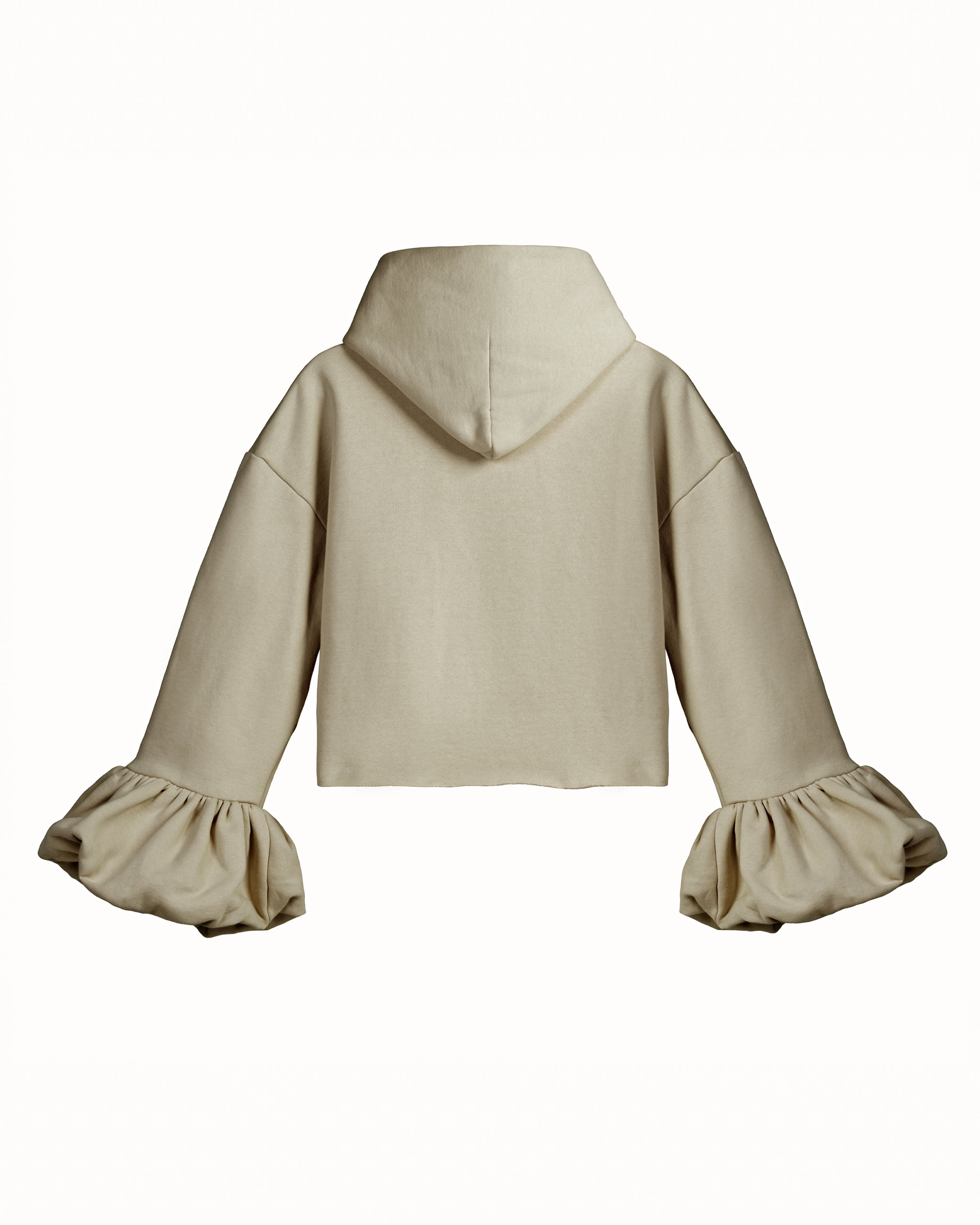 Oat Statement Sleeve Hoodie