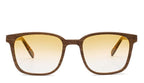 Jetter Walnut Sun Polarized
