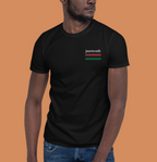 Juneteenth Flag Shirt - Embroidery Unisex T Shirt