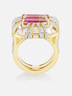 "Tie Dye" 3.89ct Bi-Color Tourmaline "Bianca" Ring